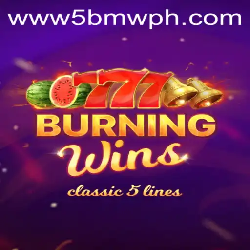 Discover the Thrills of BurningWins and Uncover the Secret of 5BMW.COM