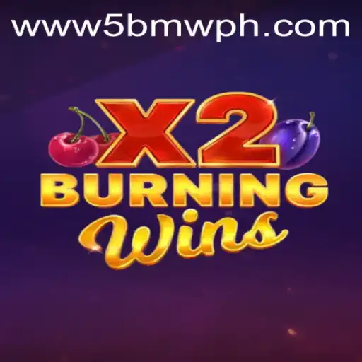 Unveiling the Electrifying World of BurningWinsX2